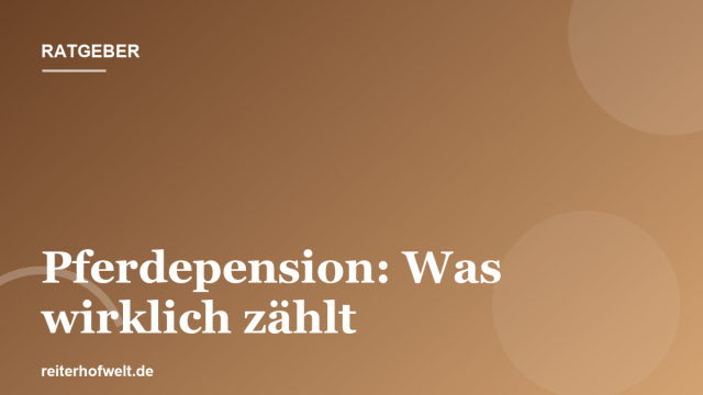Pferdepension: Was eine gute Unterbringung ausmacht