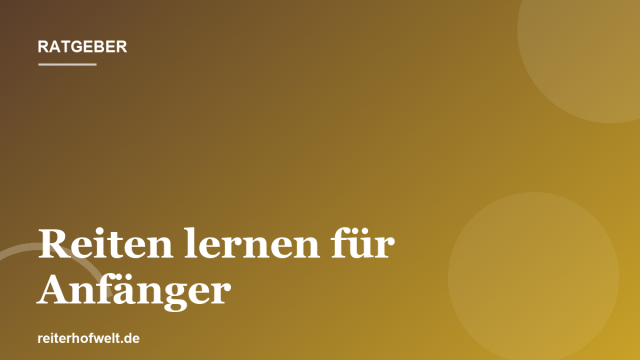 Reiten lernen als Anfänger: Der Weg zur ersten Reitstunde