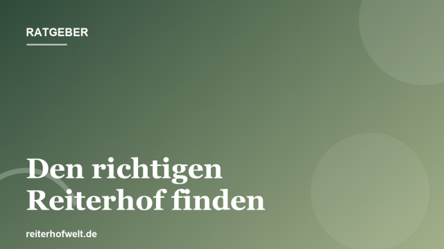 Den richtigen Reiterhof finden: Worauf du achten solltest